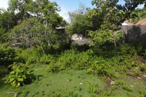 Land in Pecatu, Badung, Bali (11830) 14