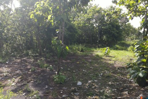 Land in Pecatu, Badung, Bali (11830) 11