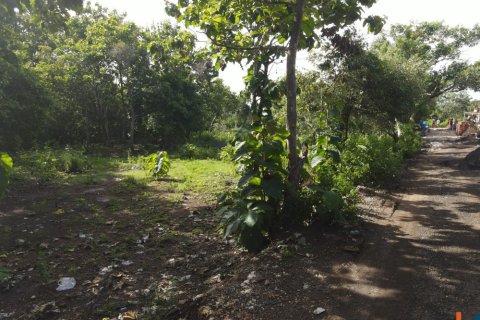 Land in Pecatu, Badung, Bali (11830) 12