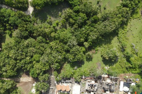 Land in Pecatu, Badung, Bali (11830) 19
