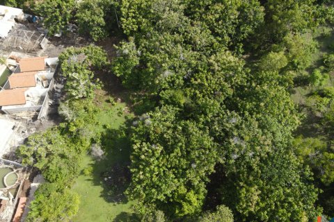 Land in Pecatu, Badung, Bali (11830) 16