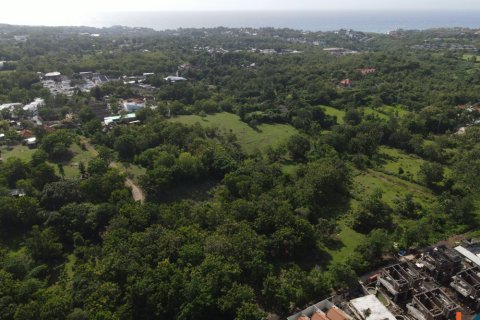 Land in Pecatu, Badung, Bali (11830) 3