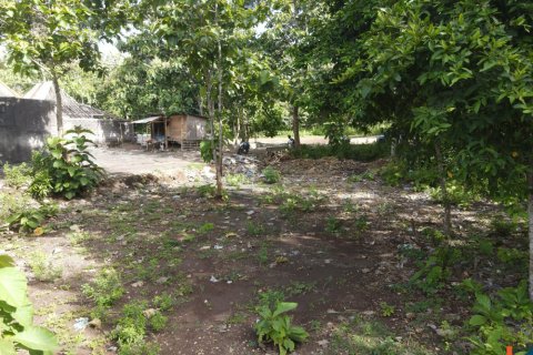 Land in Pecatu, Badung, Bali (11830) 13