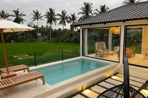 2 bedrooms Villa in Tegallalang, Gianyar, Bali (11826) 10