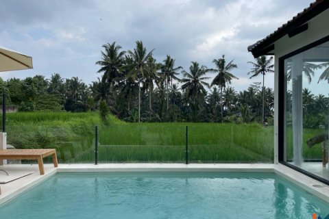 2 bedrooms Villa in Tegallalang, Gianyar, Bali (11826) 5