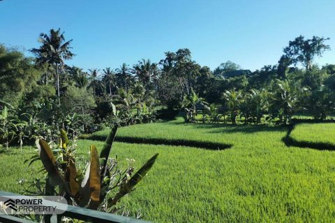 Hotel 19 kamar tidur di Ubud, Gianyar, Bali (9285) 2