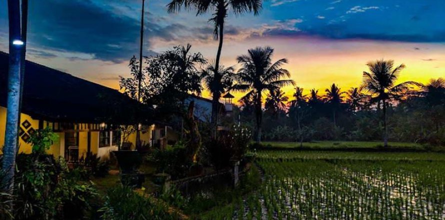Hotel 19 kamar tidur di Ubud, Gianyar, Bali (9285)