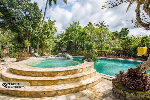 Hotel 19 kamar tidur di Ubud, Gianyar, Bali (9285) 14