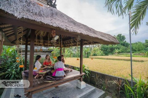 Hotel 19 kamar tidur di Ubud, Gianyar, Bali (9285) 15