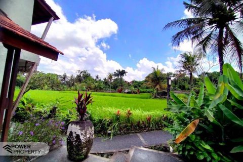 Hotel 19 kamar tidur di Ubud, Gianyar, Bali (9285) 7
