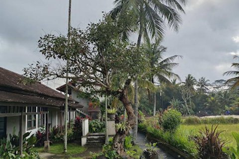 Hotel 19 kamar tidur di Ubud, Gianyar, Bali (9285) 5