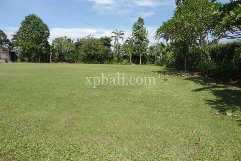 2734m2 Land in Ubud, Gianyar, Bali (950) 7