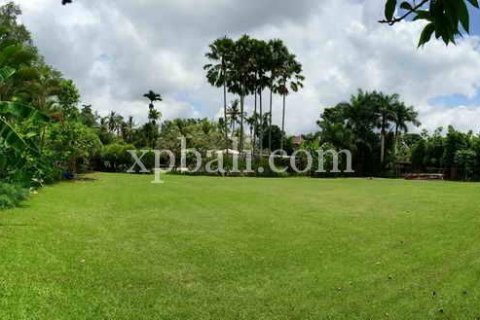2734m2 Land in Ubud, Gianyar, Bali (950) 4