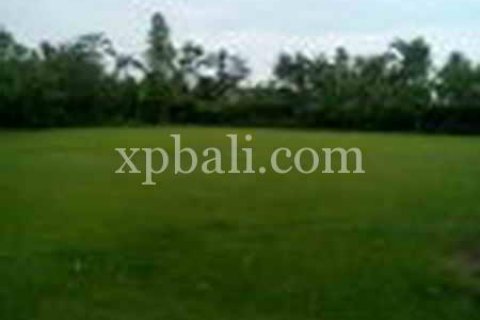 2734m2 Land in Ubud, Gianyar, Bali (950) 3