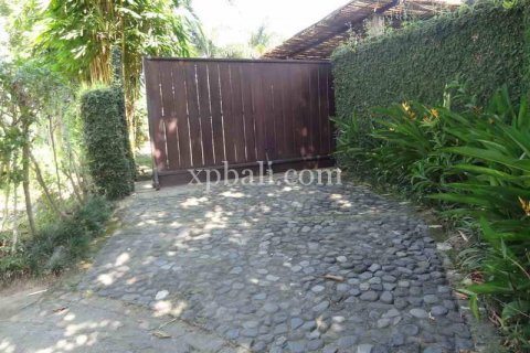 2734m2 Land in Ubud, Gianyar, Bali (950) 5