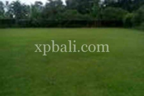 2734m2 Land in Ubud, Gianyar, Bali (950) 8