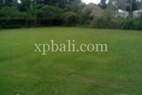 2734m2 Land in Ubud, Gianyar, Bali (950) 2