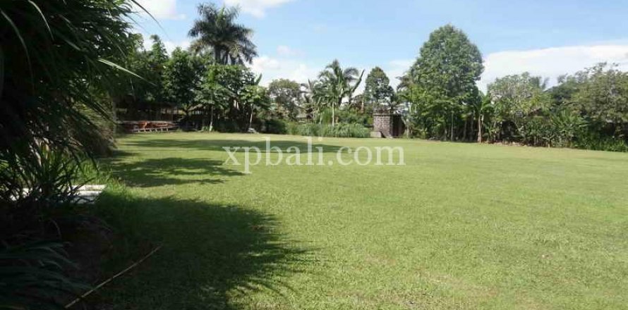 2734m2 Land in Ubud, Gianyar, Bali (950)