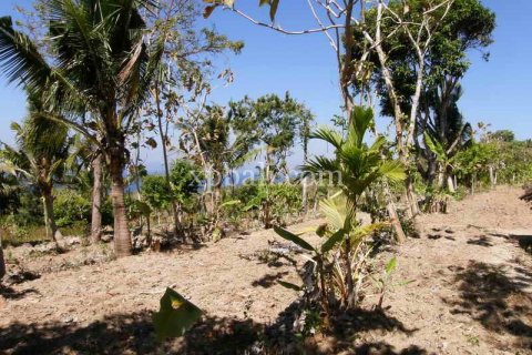 Tanah kavling 25800m2 di Nusa Penida, Klungkung, Bali (947) 7