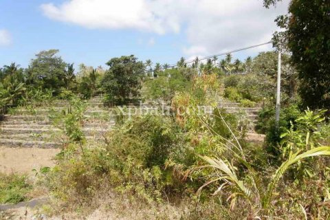 Tanah kavling 25800m2 di Nusa Penida, Klungkung, Bali (947) 8