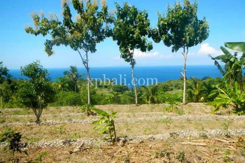 Tanah kavling 25800m2 di Nusa Penida, Klungkung, Bali (947) 10