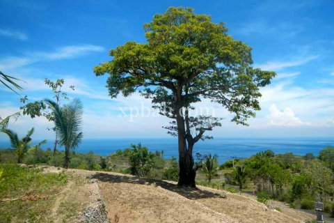 Tanah kavling 25800m2 di Nusa Penida, Klungkung, Bali (947)