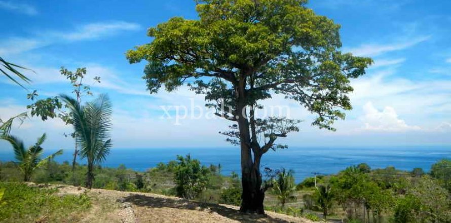 Tanah kavling 25800m2 di Nusa Penida, Klungkung, Bali (947)