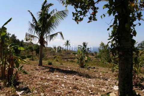 Tanah kavling 25800m2 di Nusa Penida, Klungkung, Bali (947) 6