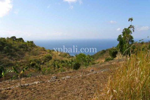 Tanah kavling 25800m2 di Nusa Penida, Klungkung, Bali (947) 5