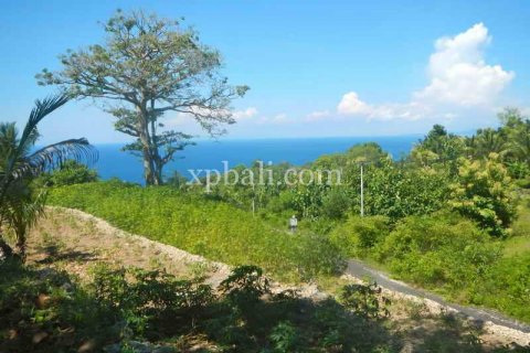 Tanah kavling 25800m2 di Nusa Penida, Klungkung, Bali (947) 2