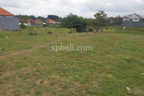 Tanah kavling 1100m2 di Canggu, Badung, Bali (781)