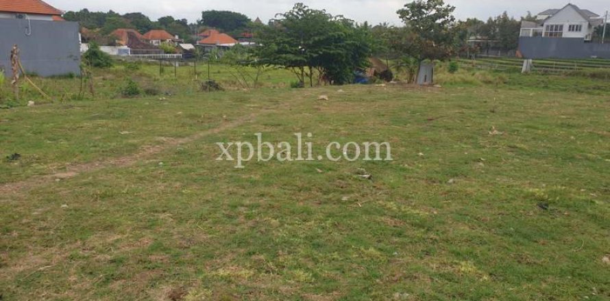 1100m2 Land in Canggu, Badung, Bali (781)