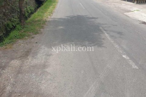 2800m2 Land in Canggu, Badung, Bali (782) 10
