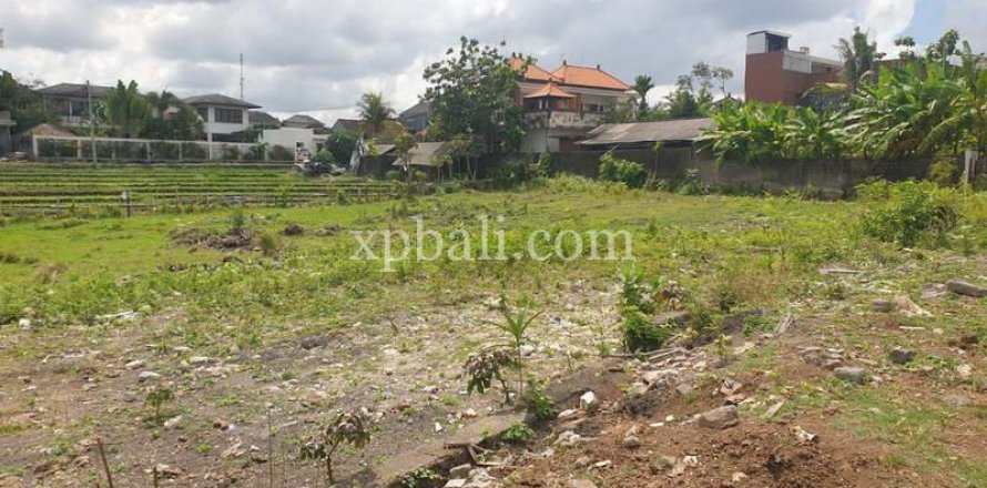 2800m2 Land in Canggu, Badung, Bali (782)