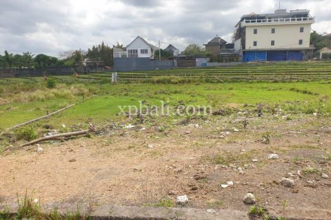 2800m2 Land in Canggu, Badung, Bali (782) 8