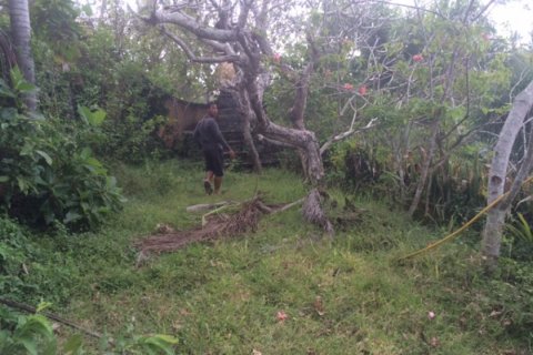 Land in Klungkung, Bali (12322) 3