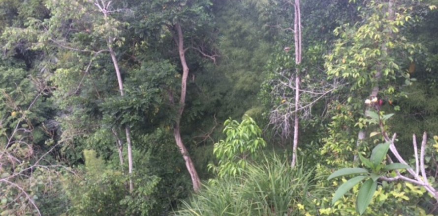 Land in Klungkung, Bali (12322)