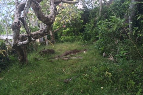 Land in Klungkung, Bali (12322) 4