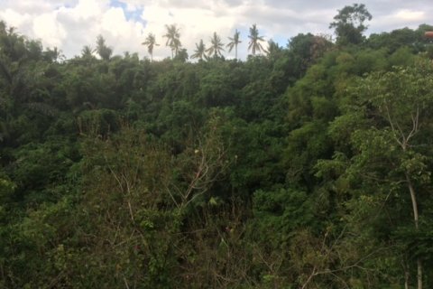Land in Klungkung, Bali (12322) 2