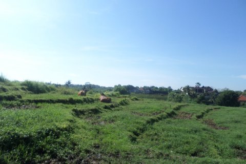 Land in Bali (12324) 2