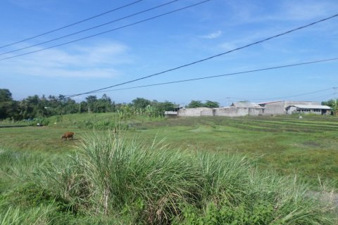 Land in Bali (12324) 5