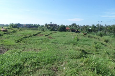 Land in Bali (12324) 3