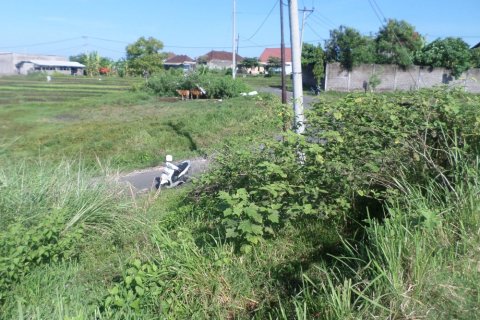 Land in Bali (12324) 6