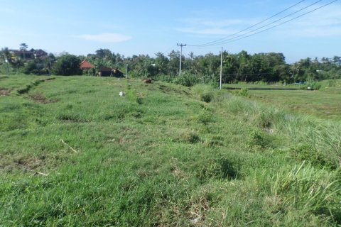 Land in Bali (12324) 4