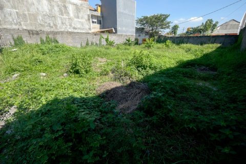 Land in Denpasar, Bali (12326) 3