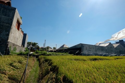 Land in Denpasar, Bali (12326) 7