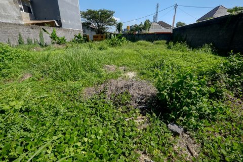 Land in Denpasar, Bali (12326) 6