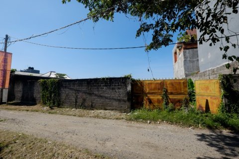 Land in Denpasar, Bali (12326) 4