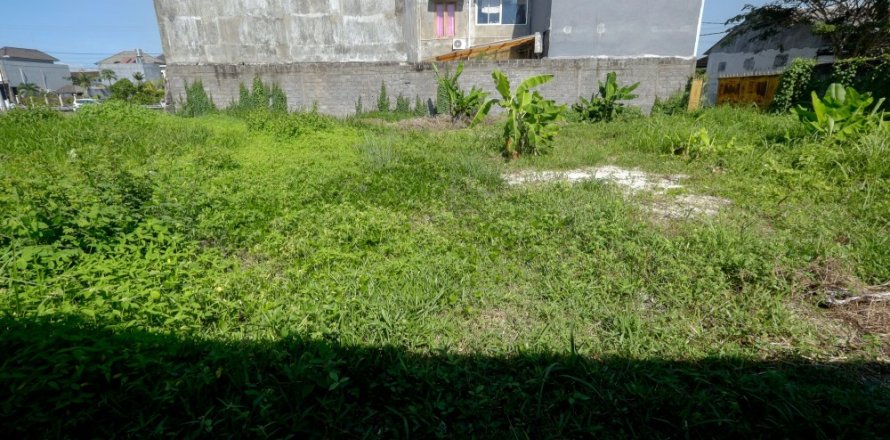 Land in Denpasar, Bali (12326)
