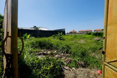 Land in Denpasar, Bali (12326) 5
